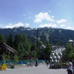 DSCF0520 ()